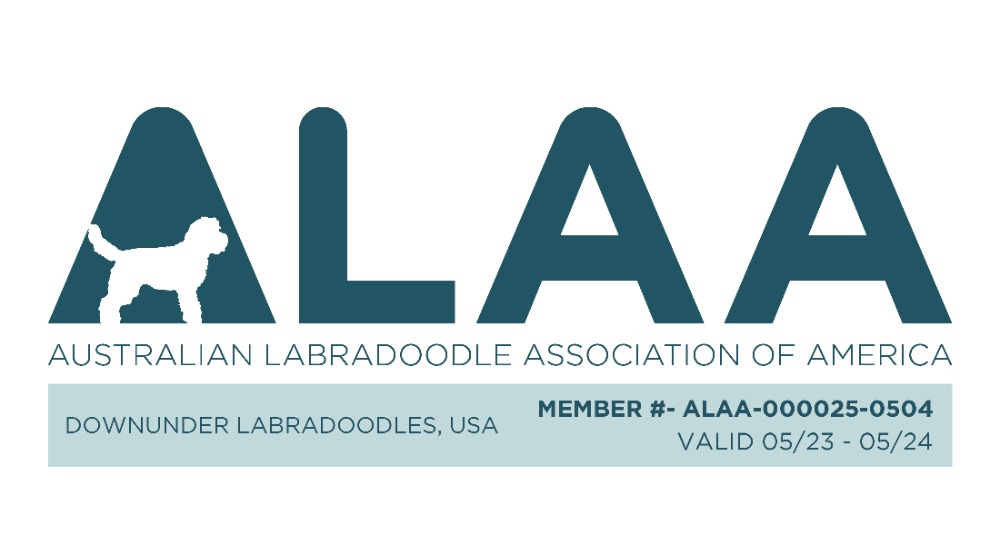 2023 Downunder ALAA logo