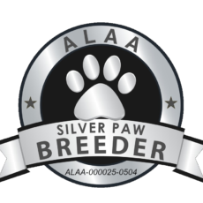 2023 Downunder Paw PNG