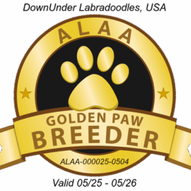 DU gold Paw 2025 RESIZED 50